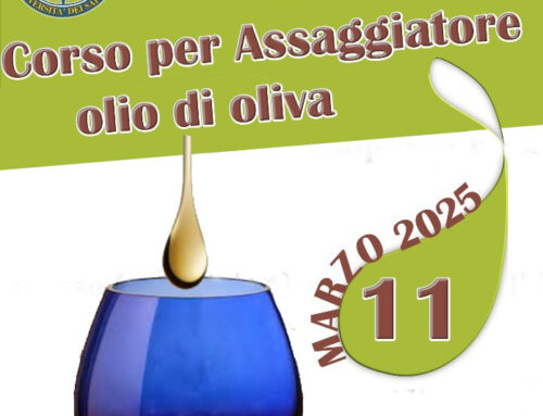 Corso per Assaggiatore olio di oliva